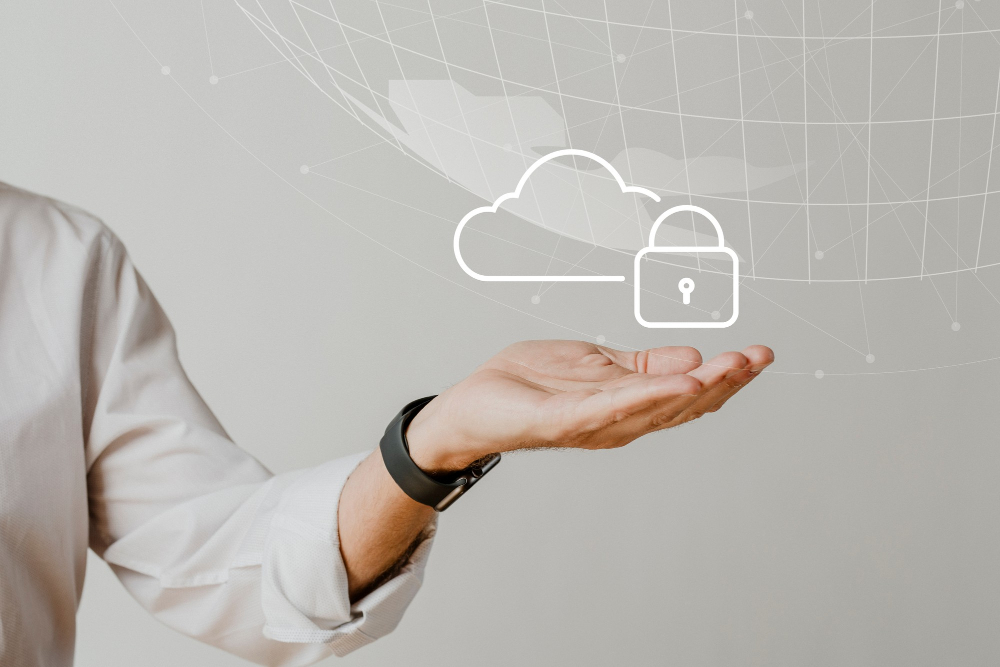 seguridad y proteccion de datos